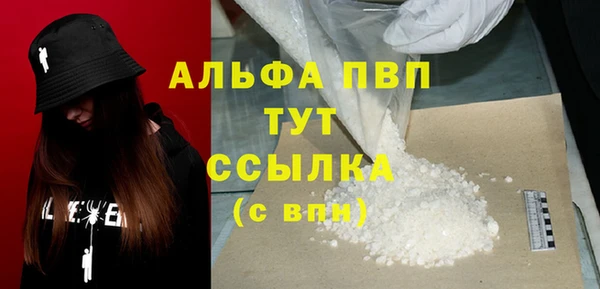 apvp Инта