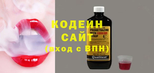 apvp Инта