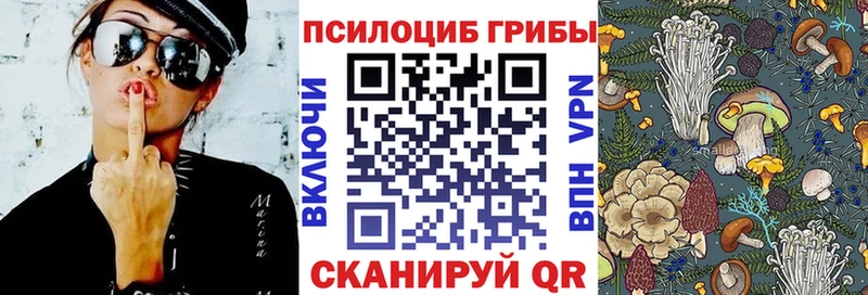 Купить  Петухово  Галлюциногенные грибы Psilocybine cubensis 